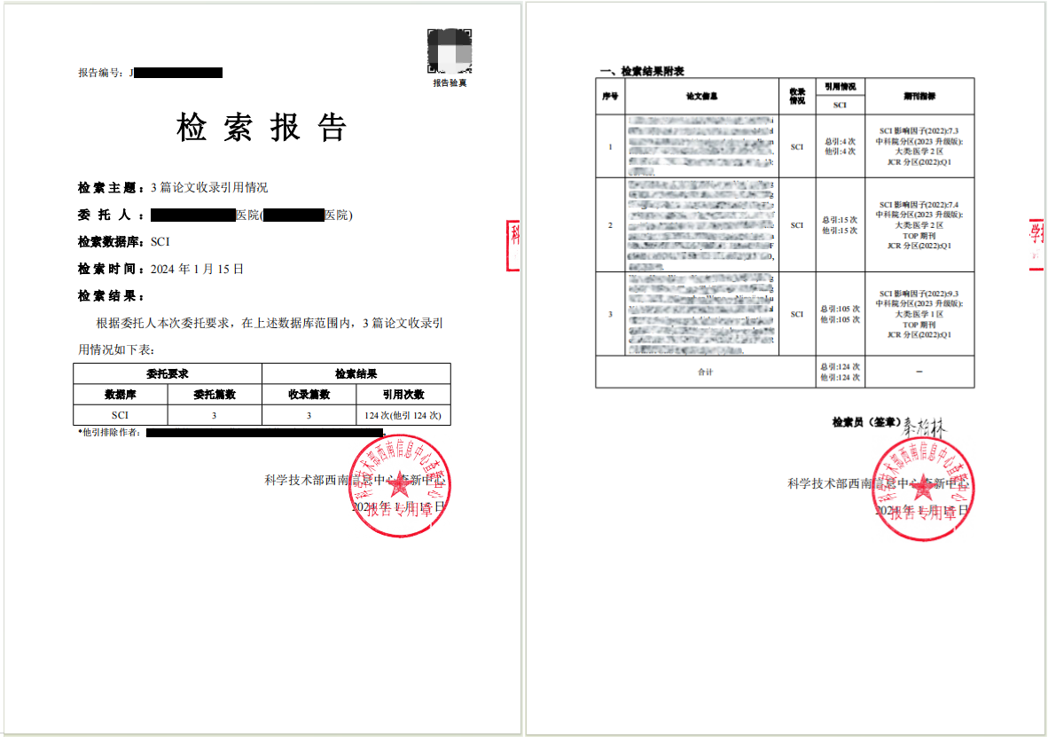 检索报告样例.png
